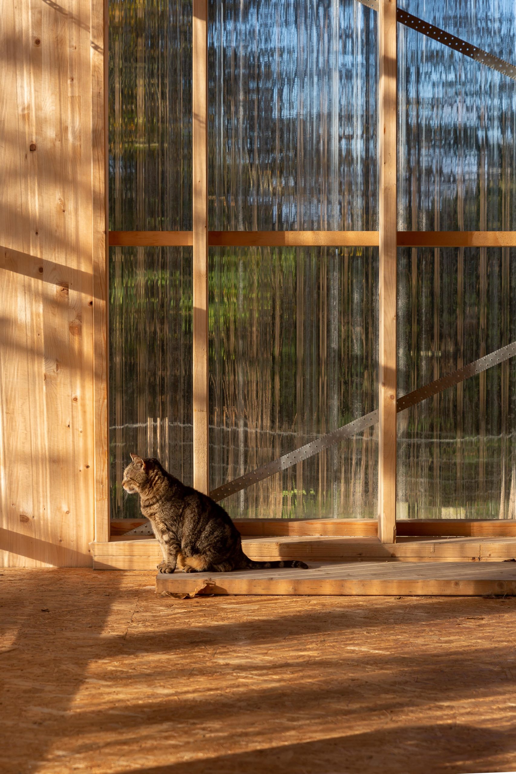 Maison C - GAUFFENY FONTAINE Construction en bois